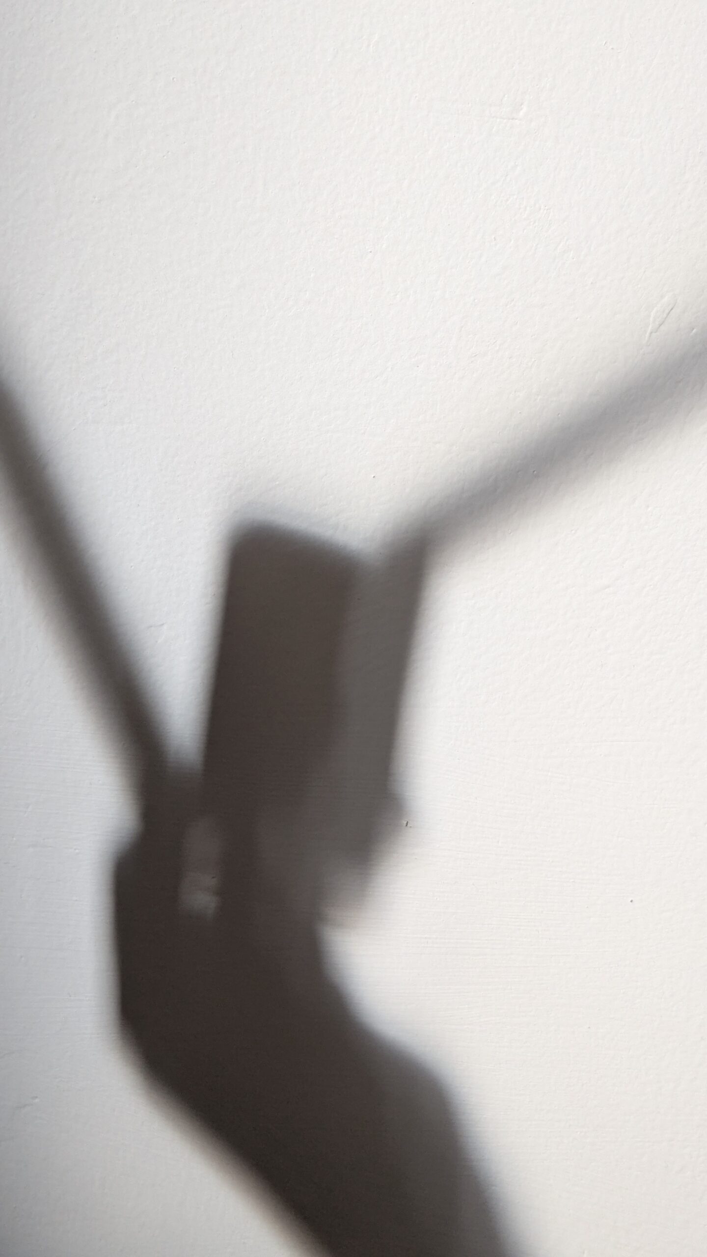 PXL PORTRAIT ORIGINAL